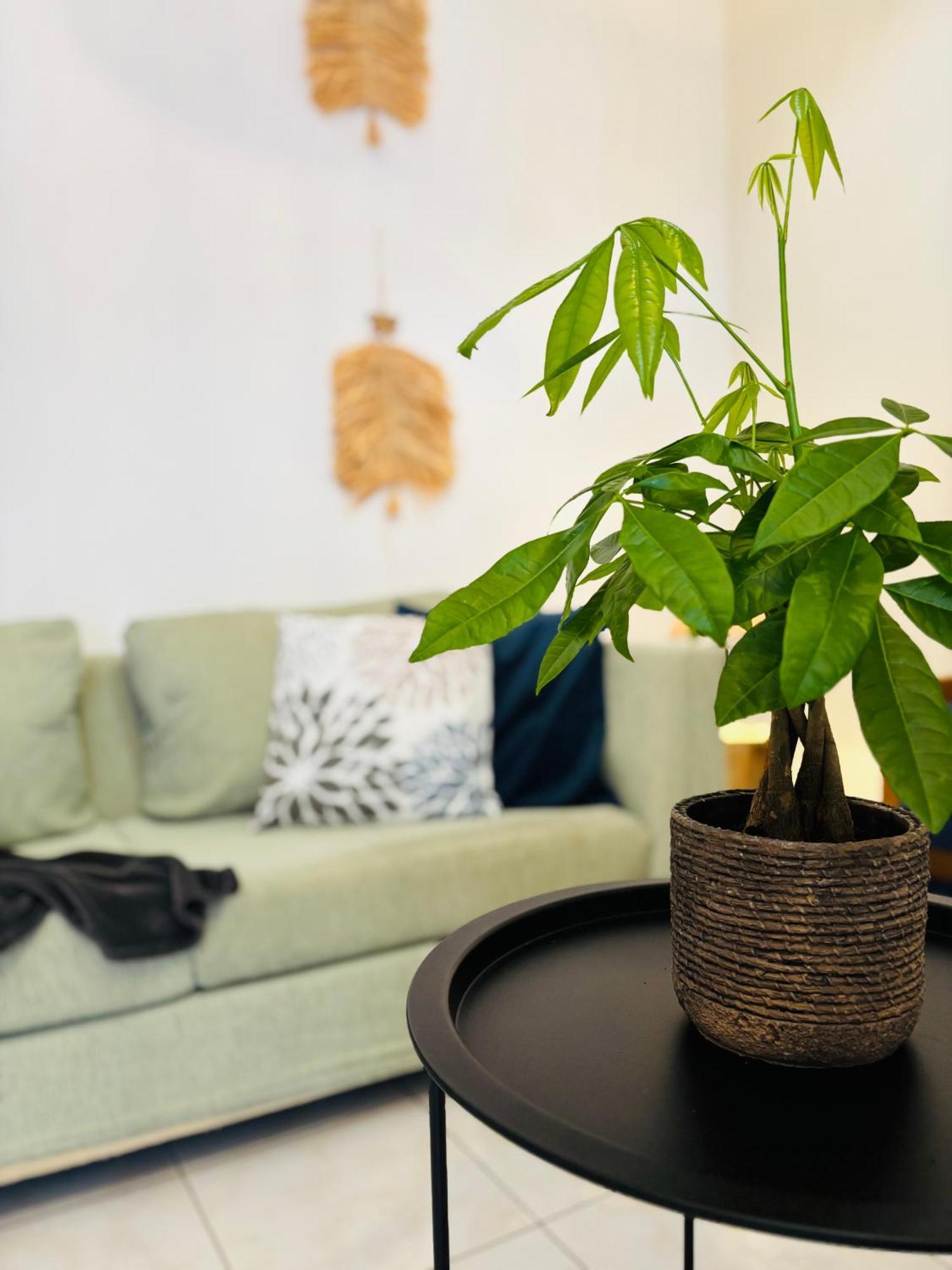 Sofitaki Apartman Argosztóli Kültér fotó